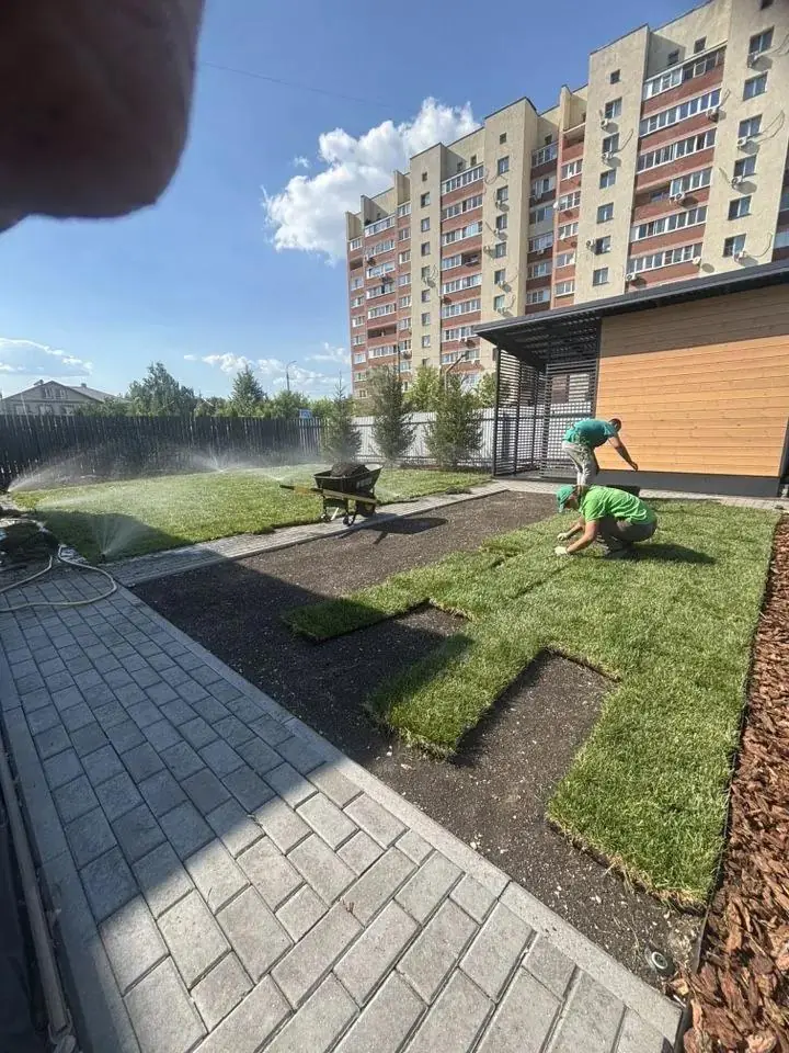 Рулонный газон на участке